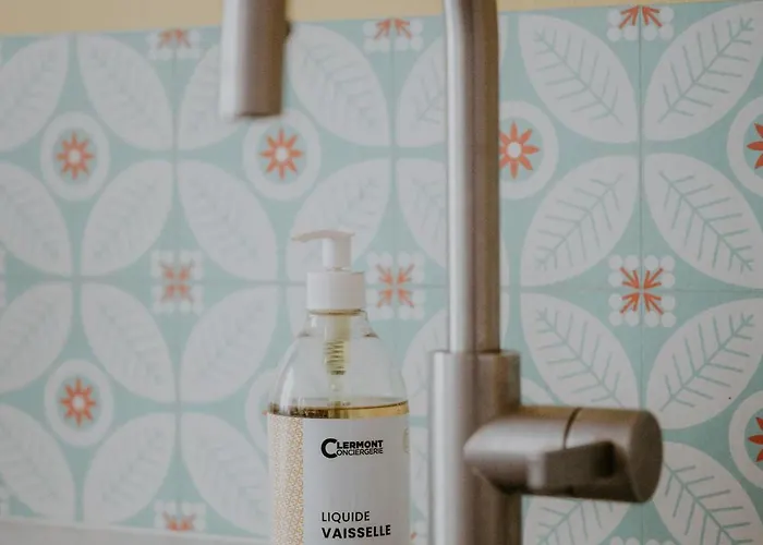 Appartement Terrail Centre Historique Clermont-Ferrand