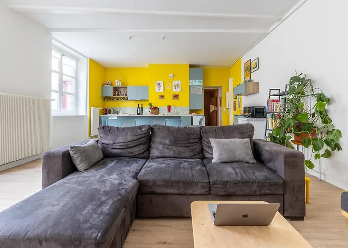 Appartement Terrail Centre Historique Clermont-Ferrand